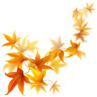 Flying autumn leaves