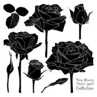 Floral graphics design elements