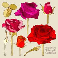 Floral graphics design elements N2