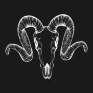 Hand Drawn goat skull doodle vector illustration Dotwork fullf