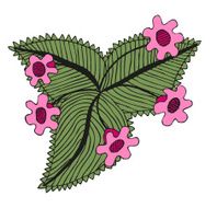 Doodling hand drawn amazing flowers like gloxinia