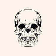 Hand drawn sketch scull tattoo line art Vintage vector illustra N2