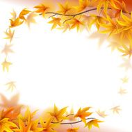 Autumn Branches N2