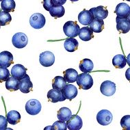 Berries seamless pattern N7