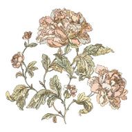 Seamless pattern with flowers rose N14