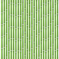 Bamboo background Vector illustration