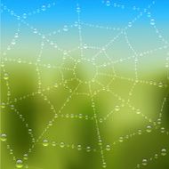 Dew drops on the web with nature background Vector illustration