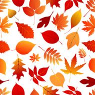 Autumn red and orange leaves pattern