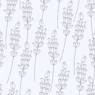 Seamless pattern with lavender
