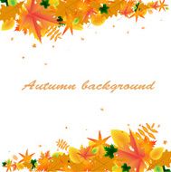 Autumn background with frame of leaves