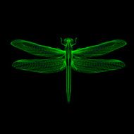 Dragonfly 3d style vector illustration for print tatto t-shirt N2