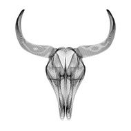 Bull skull 3d style vector illustration for prints or t