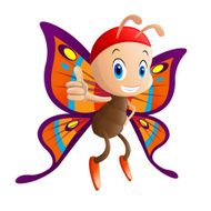 butterfly N56