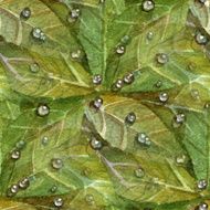 Watercolor Leaves N9