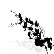 Silhouette of Plants Vector Ilustration