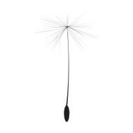 Single Dandelion Seed Vector Illustration