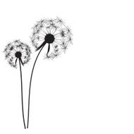 Abstract Dandelion Background Vector Illustration N3