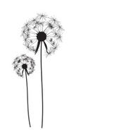 Abstract Dandelion Background Vector Illustration N4
