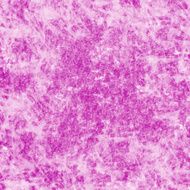 Grunge abstract background N48