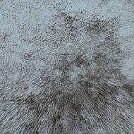 Grunge abstract background N127