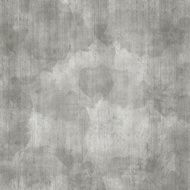 Grunge abstract background N161