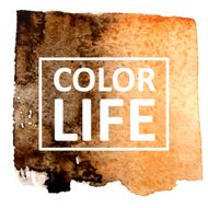 Vector watercolor N263