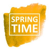 Vector watercolor N287