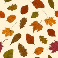 Autumn leaves pattern N5