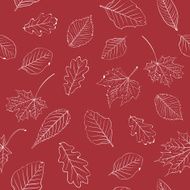 Autumn leaves pattern N6