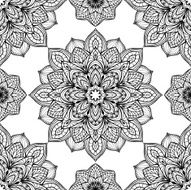 Vector exquisite ornament