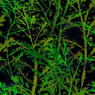 Seamless imprints pattern of the branched herbs N11
