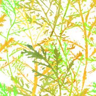Seamless imprints pattern of the branched herbs N18