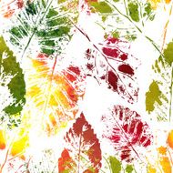 Autumn colorful leaves imprints N2