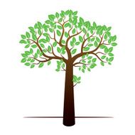 Color Tree and Green Leafs Vector Illustration