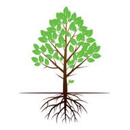 Color Tree and Roots Vector Illustration N2