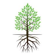 Color Tree and Roots Vector Illustration N3