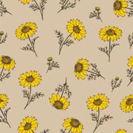 Yellow chamomile seamless background wildflower vector pattern N2