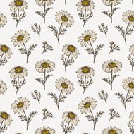 Chamomile flower seamless pattern N2