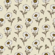Chamomile flowers vector pattern N2