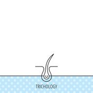 Trichology skin icon Dermatology hair sign N3