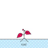 Plant with leaves icon Agriculture sign N2