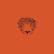 Leopard jaguar N2