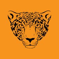 Leopard jaguar N4