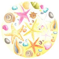 Shells and starfishes on sand background
