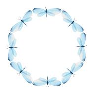 The pattern of butterflies Round frame Watercolor illustration in vector (14)
