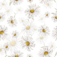 Chamomile pattern N4
