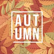 Autumn Background N54