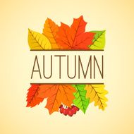 Autumn Background N55