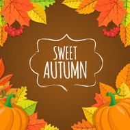 Autumn Background N57