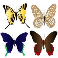 butterfly N58